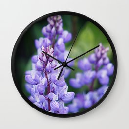 Wild lupine Wall Clock | Lupine, Color, Wildflower, Floralphoto, Digital, Photo, Violet, Lupinus, Blue, Wisconsinflower 