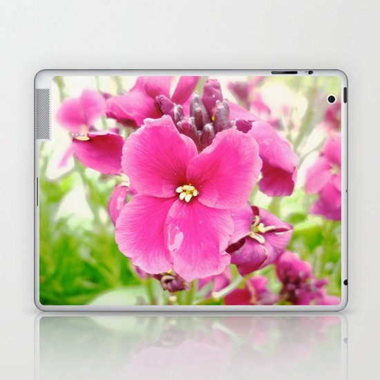 Chartwell Laptop & iPad Skin