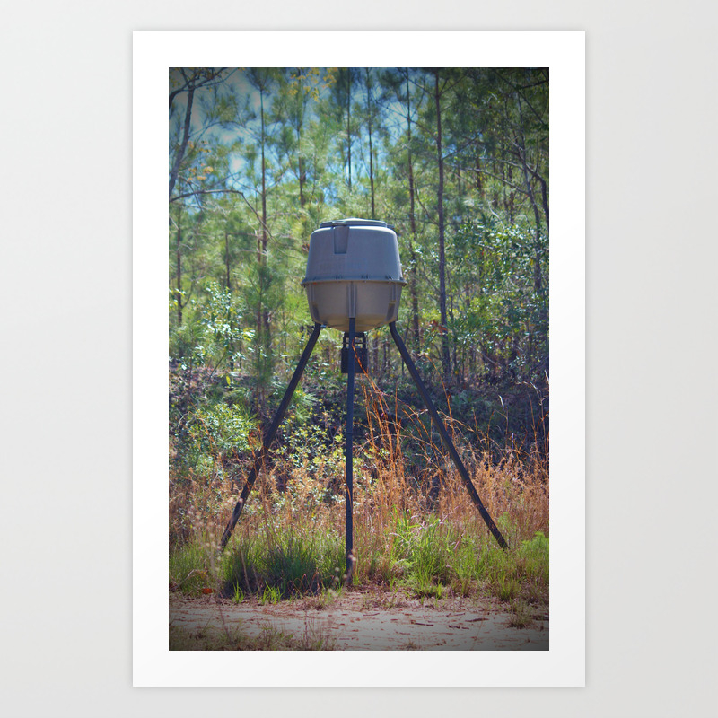 Deer Feeder Art Print By Cynthiaguinn Society6