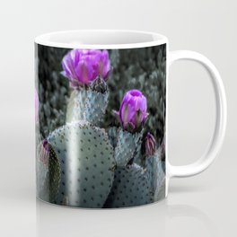 Cactus Blooming in the Anza-Borrego Desert State Park, Southern California Coffee Mug