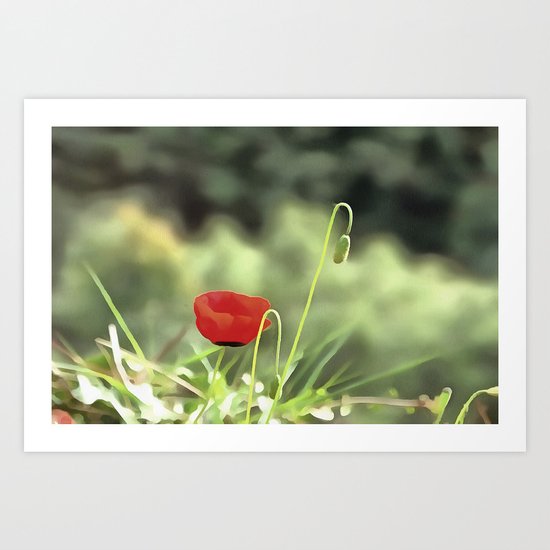One Poppy Art Print