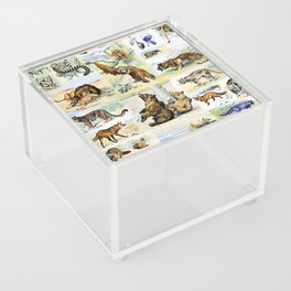 Adolphe Millot "Mammals" 1. Acrylic Box