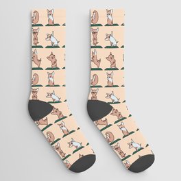 Chihuahua Yoga Socks