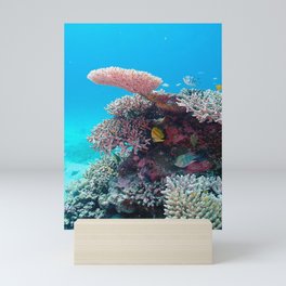Sea Fish Mini Art Print
