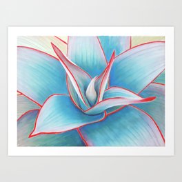 Turquoise Aloe Art Print