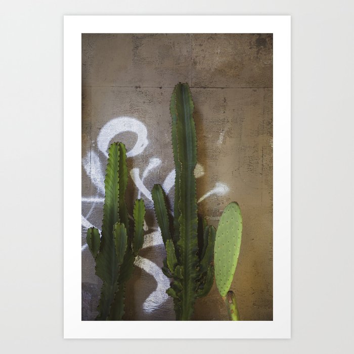 Graffiti & the Cactus  |  Travel Photography Art Print
