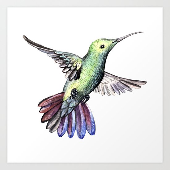 Bird hummingbird Art Print