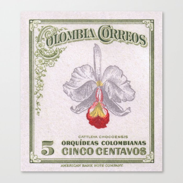 1947 COLOMBIA Cattleya Chocoensisi Orchid Stamp Canvas Print