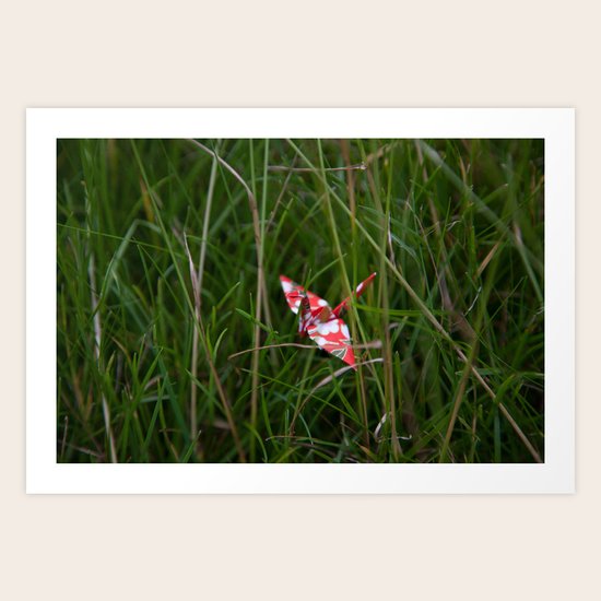 Crane 003 Art Print