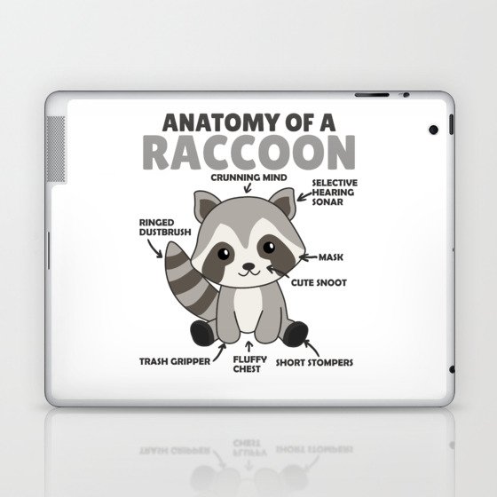 Sweet Raccoon Explanation Anatomy Of A Raccoon Laptop & iPad Skin