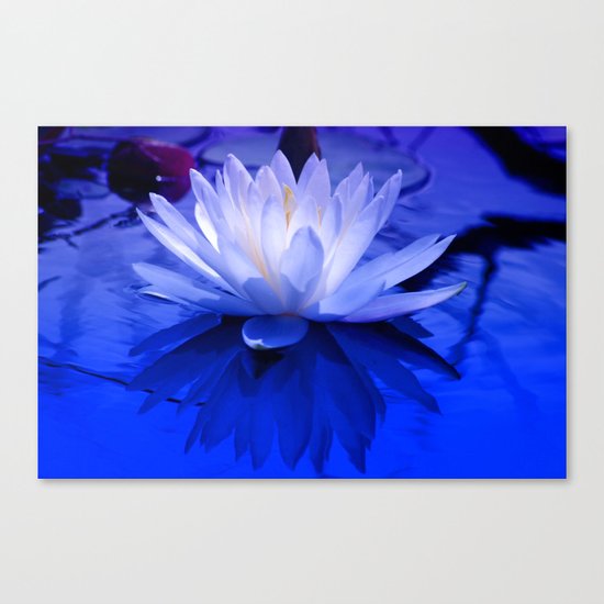 Blue Dreams Canvas Print
