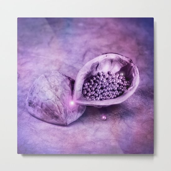 XMAS NUTS II Metal Print