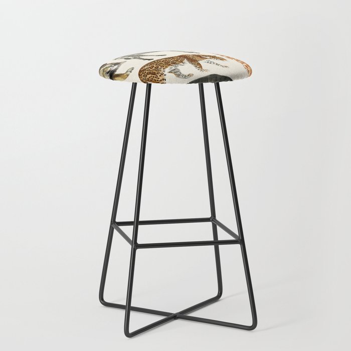 Bar Stool