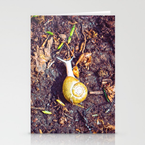 The Little Snail | Wildlife in the PNW Stationery Cards