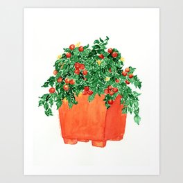 Tomatoes in Terracotta Art Print