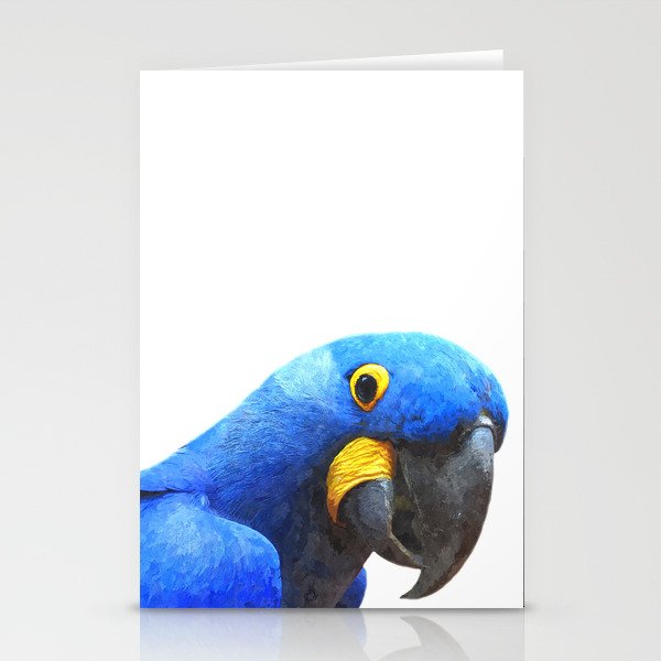 Blue Parrot Portrait Stationery Cards