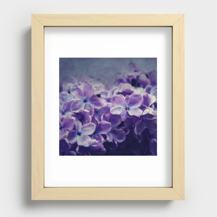 lilac Recessed Framed Print