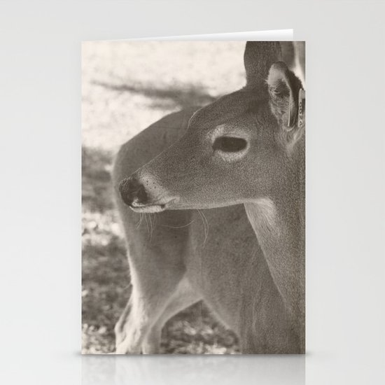 deer Stationery Cards