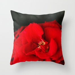Red Rose Flower Close up Throw Pillow