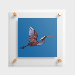 Agami heron cobalt Floating Acrylic Print