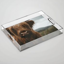 Scottish Highland Cattle Acrylic Tray