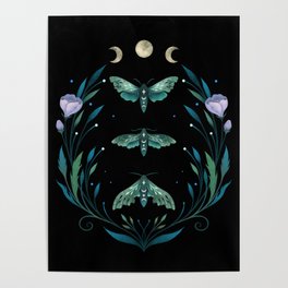 Lime Hawk Moths Night Poster