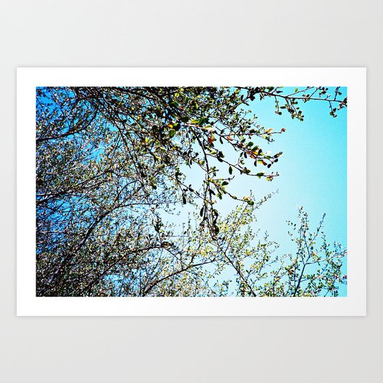 The Trees Art Print