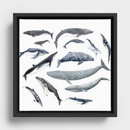 Whales all around Framed Canvas