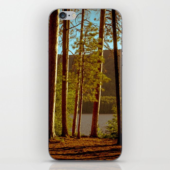 The Pines at Winona iPhone Skin
