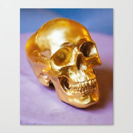 Skull of Dreams Canvas Print