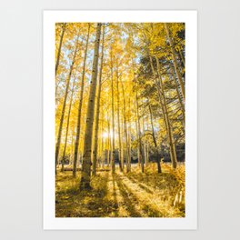 Yellow Aspen Trees Autumn Leaves in Flagstaff, Arizona Art Print