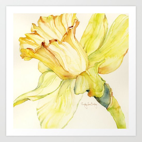 Narcissus Art Print