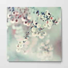 Midwinter Daydream Metal Print | Nature, Floral, Cream, Winter, Photo, Green, Surreal, Color, Mint, Botanical 