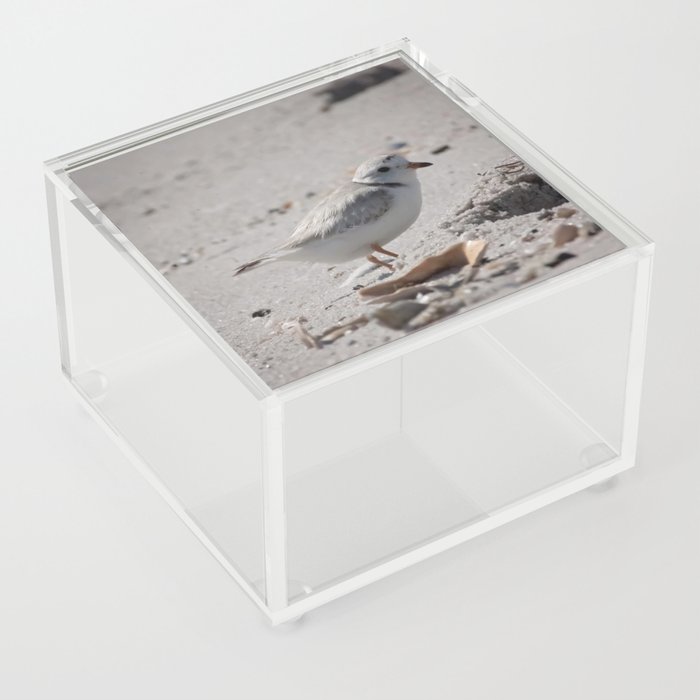 sandpiper Acrylic Box