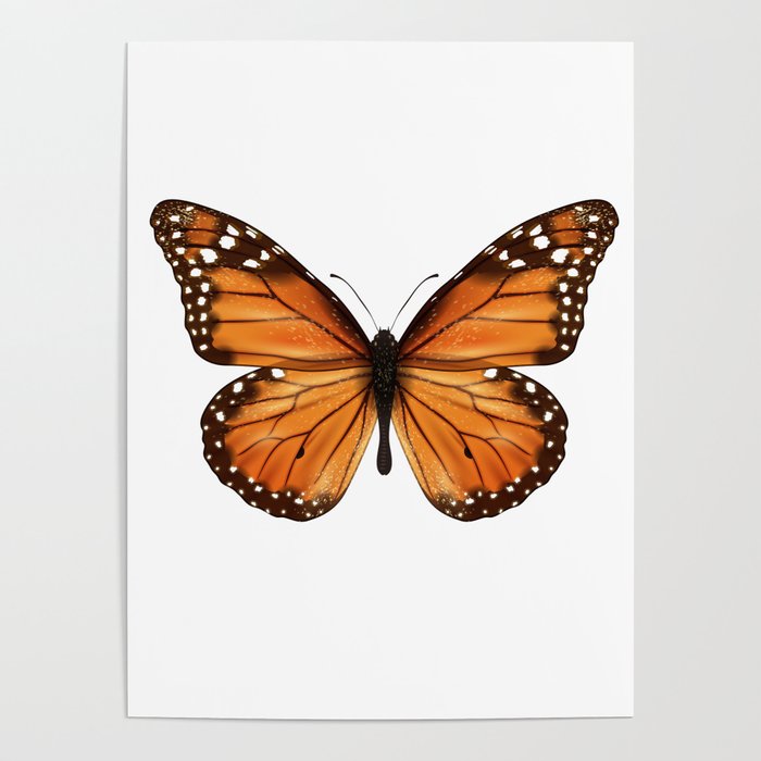 monarch butterfly Poster