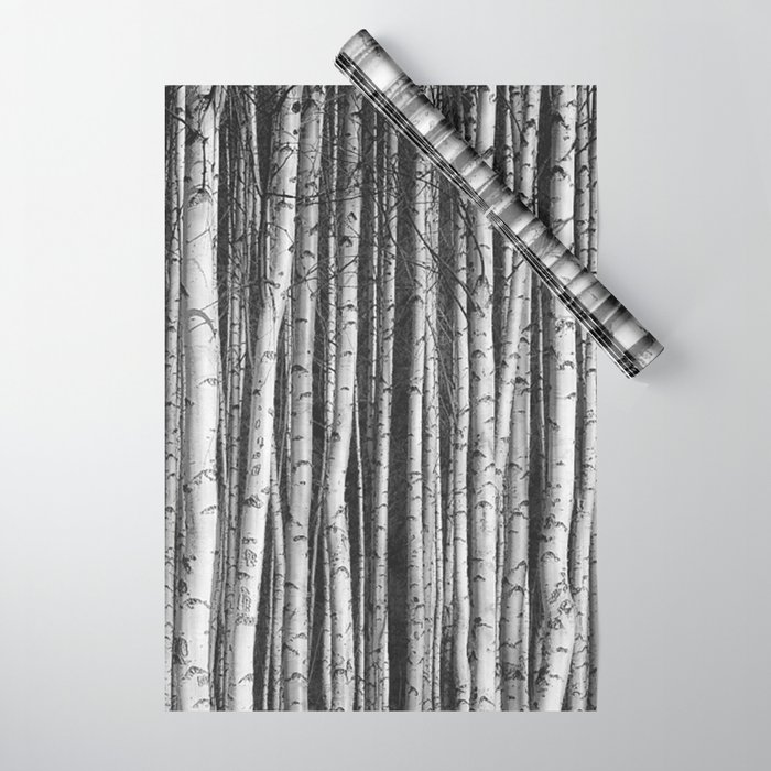 Birch || Wrapping Paper