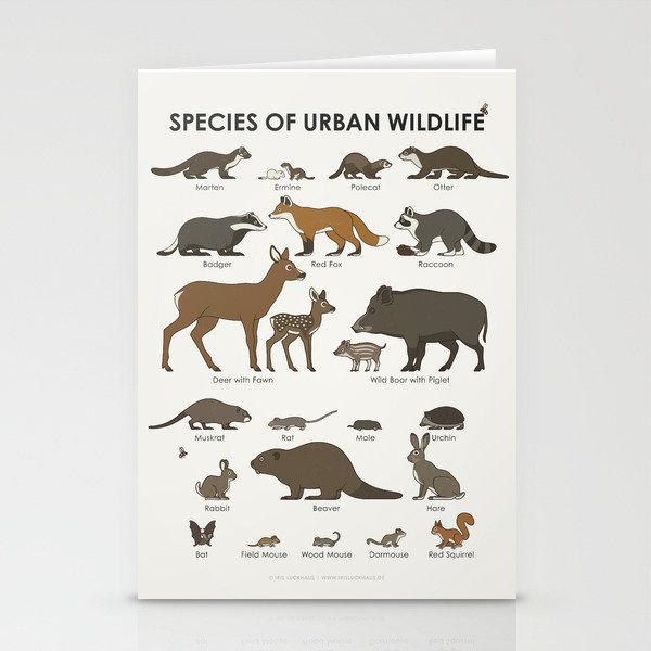 Species of Urban Wildlife Identification Chart Stationery Cards