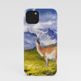 Patagonia landscape in Torres del Paine, Chile iPhone Case