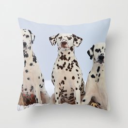 beautiful Dalmatian Trio Throw Pillow