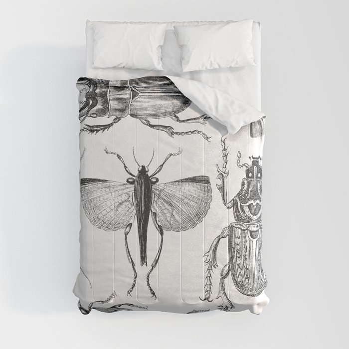 Vintage Beetle black and white drawing Comforter