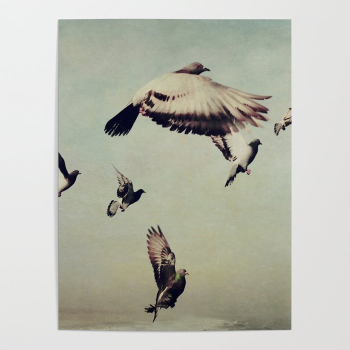 Birds in Flight - beautiful nature photograph Poster
