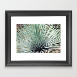 Agave Plant Framed Art Print