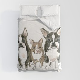Boston Terrier Siblings: Water Color Illustration Comforter