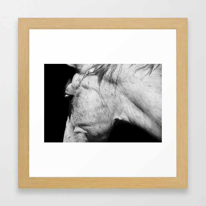 Casper Animals Horse Photography Black White Nature Framed Art Print