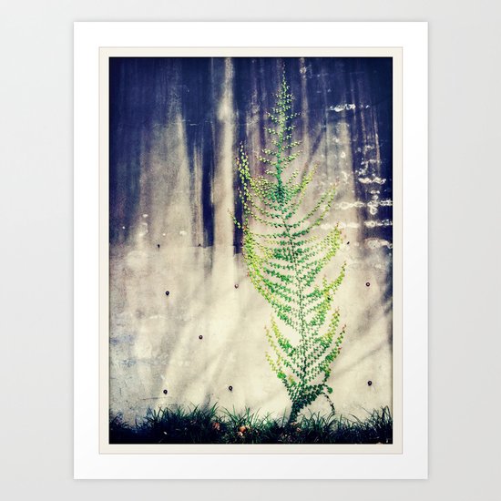 Climbing Walls Art Print