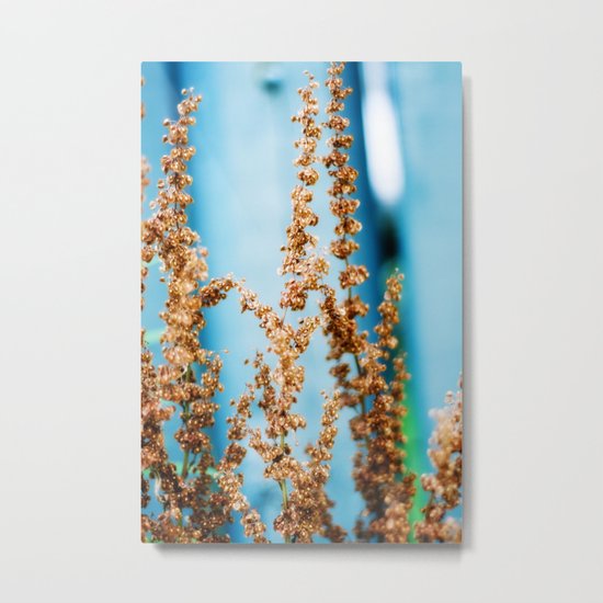 blue and brown Metal Print