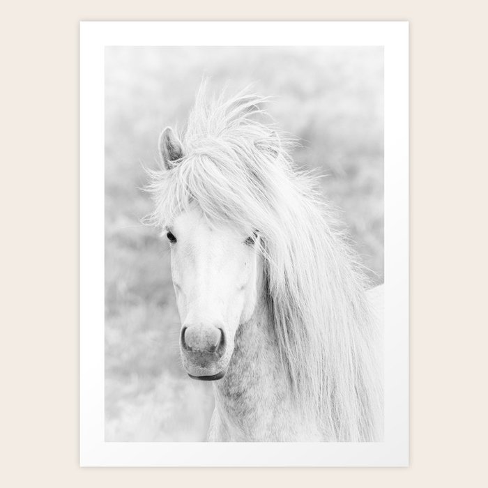 Wild Free White Horse Animal Wall Art Horse Wall Art Horse Photography Art Print By Taiprints Society6