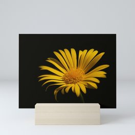 Macro photo of a yellow flower Mini Art Print