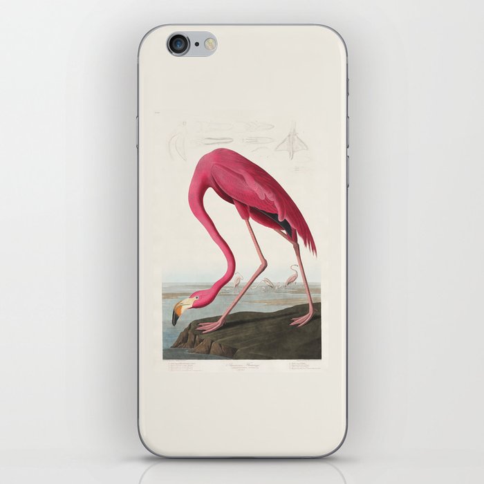 Pink Flamingo by John James Audubon Enhanced with Artificial Intelligence - High Definition iPhone Skin