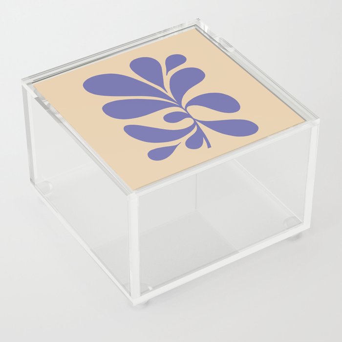 Maxi Botanica Set 4.2 - Veri Peri on Sand Acrylic Box